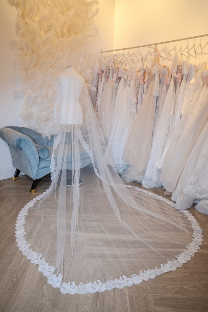 Ivy Veil